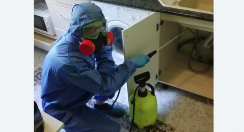 Уничтожение муравьев в квартире. Усть-Кут