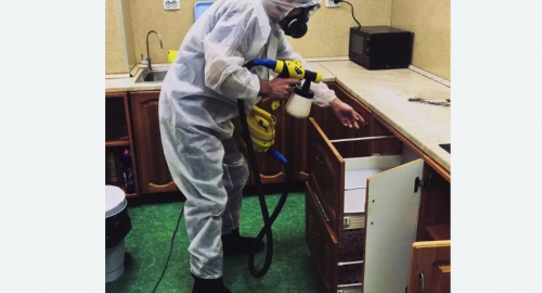 Уничтожение насекомых в квартире. Усть-Кут