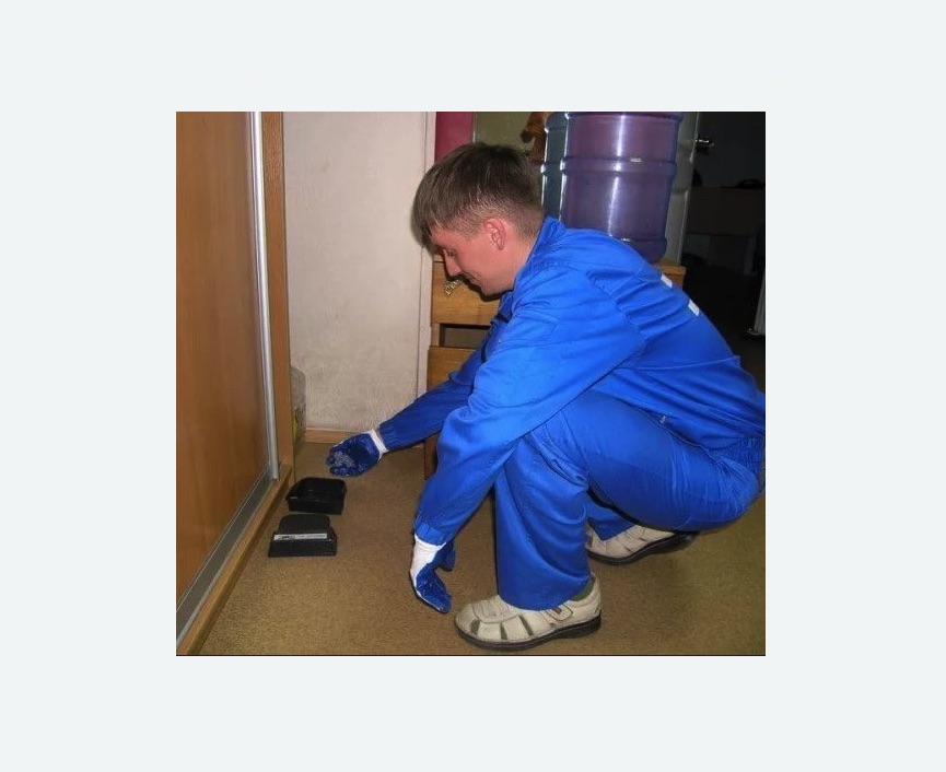 Дератизация крыс в Усть-Куте