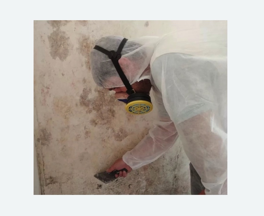 Обработка стен от плесени в Усть-Куте