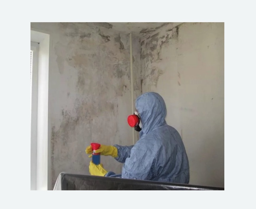 Удаление плесени в квартире в Усть-Куте