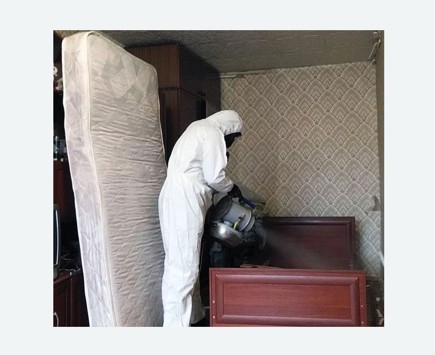 дезинфекция от клопов в Усть-Куте