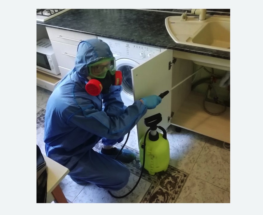 обработка от муравьев в квартире в Усть-Куте