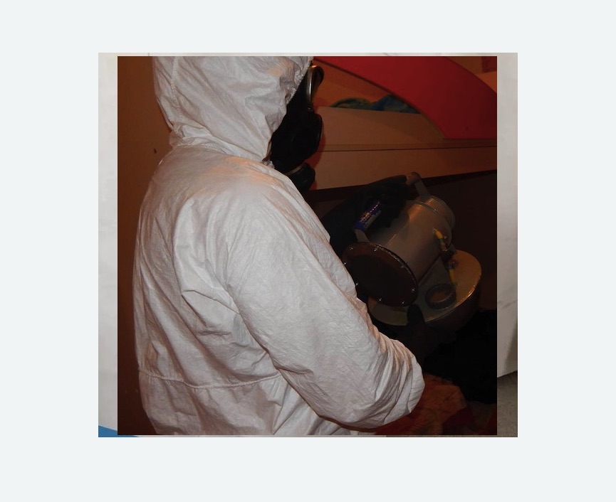 Дезинфекция от муравьев в Усть-Куте