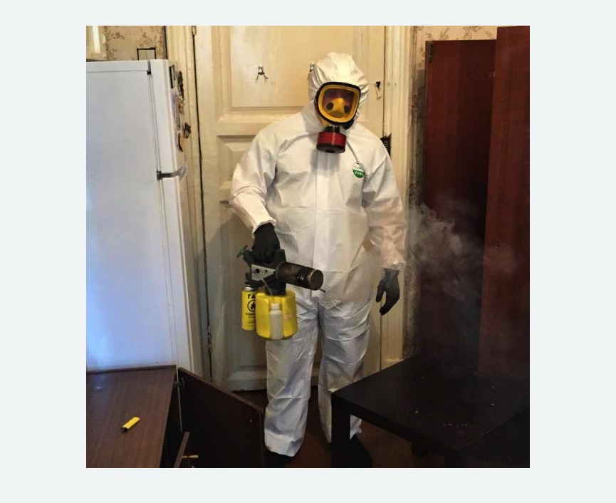 уничтожение муравьев в квартире в Усть-Куте